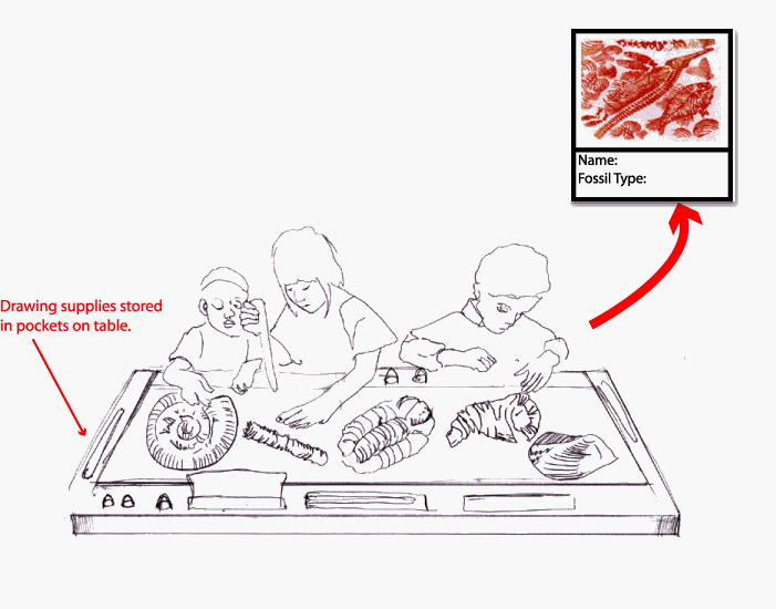 Fossil Lab Learning Experience