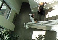 aud_str.jpg.jpg (13405 bytes)